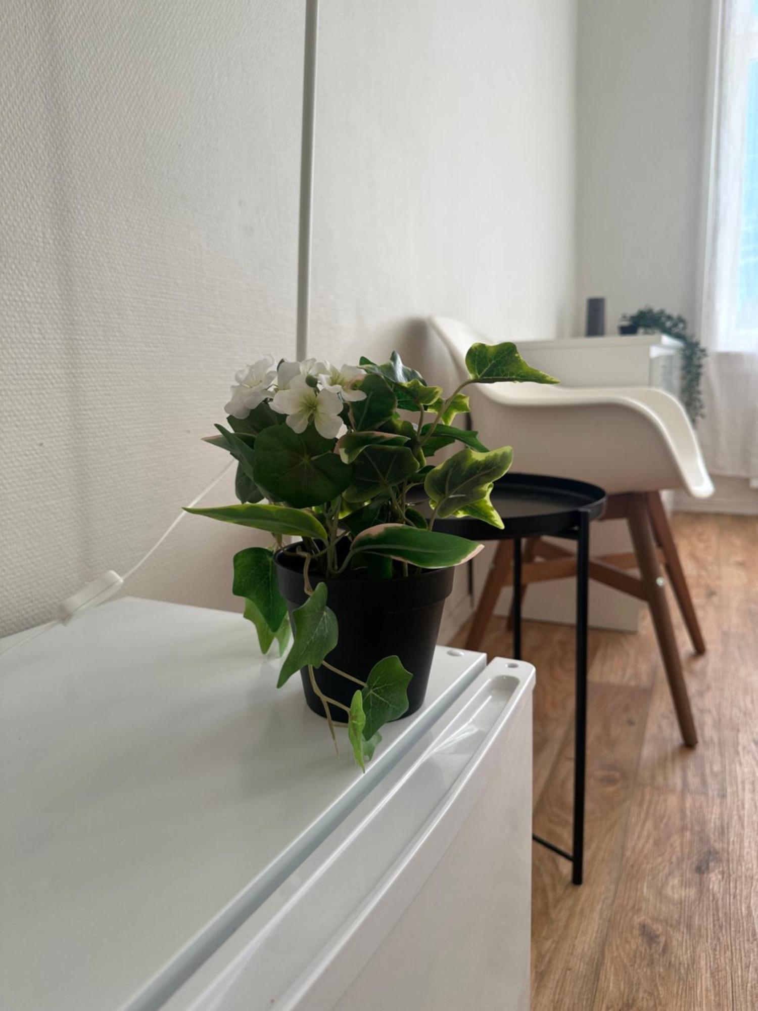 The Bloom Apartments Oslo Luaran gambar